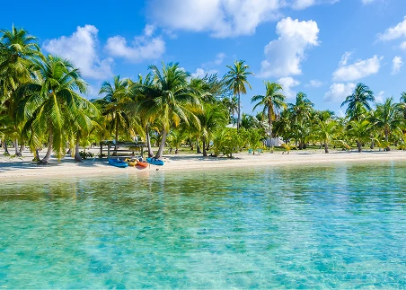 Go on a snorkeling adventure through the Caribbean reef off the Southern Cayes